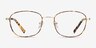 Fortune Tortoise MetalEyeglass Frames from EyeBuyDirect, Front View