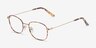 Fortune Tortoise MetalEyeglass Frames from EyeBuyDirect, Angle View