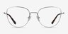 Clotilde Silver MetalEyeglass Frames from EyeBuyDirect, Front View