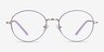 Arbus Purple & Gold MetalEyeglass Frames from EyeBuyDirect, Front View