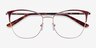 Kelsey Red Rose Gold MetalEyeglass Frames from EyeBuyDirect, Closed View