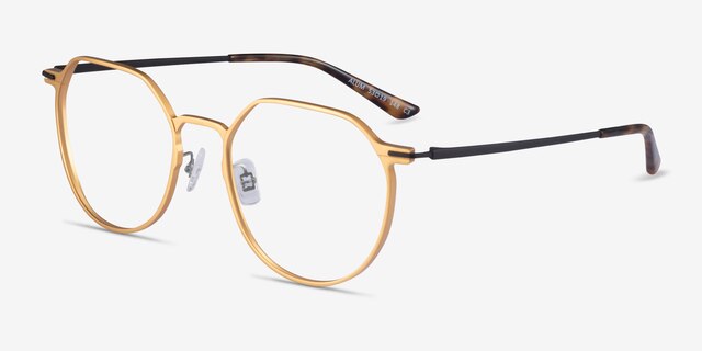 Alum Gold & Black Aluminium-alloyEyeglass Frames from EyeBuyDirect, Angle View
