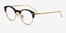 Irvin Tortoise Acetate-metalEyeglass Frames from EyeBuyDirect, Angle View