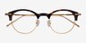 Irvin Tortoise Acetate-metalEyeglass Frames from EyeBuyDirect, Closed View