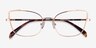 Exquisite Rose Gold MetalEyeglass Frames from EyeBuyDirect, Closed View