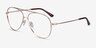 Aesthetic Gold MetalEyeglass Frames from EyeBuyDirect, Angle View