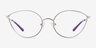 Trina Shiny Silver MetalEyeglass Frames from EyeBuyDirect, Front View