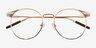 Mastery Gold Brown MetalEyeglass Frames from EyeBuyDirect, Closed View