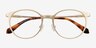 Accel Matte Gold Aluminium-alloyEyeglass Frames from EyeBuyDirect, Closed View