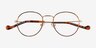 Wondrous Shiny Gold Tortoise MetalEyeglass Frames from EyeBuyDirect, Closed View
