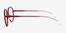 Everlasting Red MetalEyeglass Frames from EyeBuyDirect, Side View