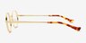 Danbury Gold MetalEyeglass Frames from EyeBuyDirect, Side View