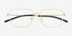 Sartori Gold Alternative MaterialsEyeglass Frames from EyeBuyDirect, Closed View