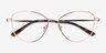Morgan Rose Gold MetalEyeglass Frames from EyeBuyDirect, Closed View
