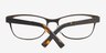 Aliza Coffee MetalEyeglass Frames from EyeBuyDirect, Closed View
