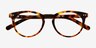 Morning Warm Tortoise AcétateMontures de lunettes de vue d'EyeBuyDirect, Vue Rapprochée