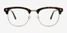 Tate Tortoise Gold PlasticEyeglass Frames from EyeBuyDirect, Front View
