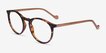 Rodina Tortoise PlasticEyeglass Frames from EyeBuyDirect, Angle View