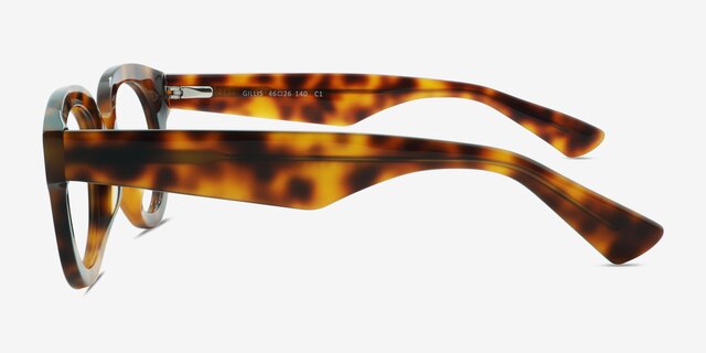 Gillis Tortoise AcetateEyeglass Frames from EyeBuyDirect, Side View