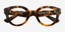 Gillis Tortoise AcetateEyeglass Frames from EyeBuyDirect, Closed View