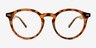 Balta Tortoise PlasticEyeglass Frames from EyeBuyDirect, Front View