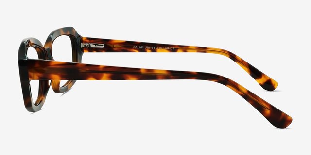 Caladium Écailles AcétateMontures de lunettes de vue d'EyeBuyDirect, Vue de Côté