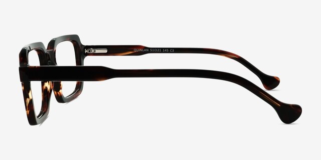 Quinlan Tortoise AcetateEyeglass Frames from EyeBuyDirect, Side View