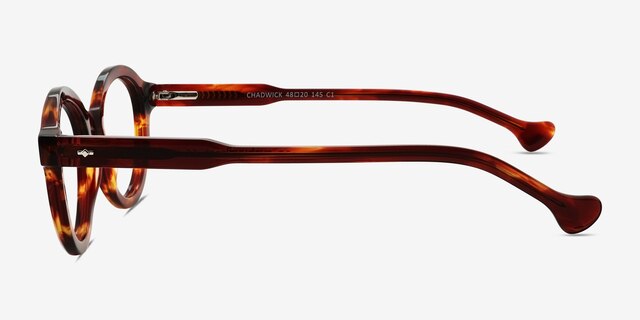 Chadwick Tortoise AcetateEyeglass Frames from EyeBuyDirect, Side View
