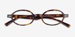 Groundbreaker Tortoise AcetateEyeglass Frames from EyeBuyDirect, Closed View