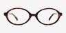 Aven Tortoise AcetateEyeglass Frames from EyeBuyDirect, Front View