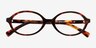 Aven Tortoise AcetateEyeglass Frames from EyeBuyDirect, Closed View