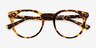 Clement Tortoise Alternative MaterialsEyeglass Frames from EyeBuyDirect, Closed View