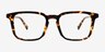Astera Tortoise Alternative MaterialsEyeglass Frames from EyeBuyDirect, Front View