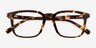Astera Tortoise Alternative MaterialsEyeglass Frames from EyeBuyDirect, Closed View