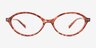 Whitmore Tortoise Alternative MaterialsEyeglass Frames from EyeBuyDirect, Front View