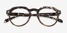 Cavendish Ivory Tortoise Alternative MaterialsEyeglass Frames from EyeBuyDirect, Closed View