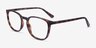 Chandler Tortoise PlasticEyeglass Frames from EyeBuyDirect, Angle View