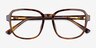 Danni Tortoise PlasticEyeglass Frames from EyeBuyDirect, Closed View
