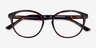 Dana Tortoise PlasticEyeglass Frames from EyeBuyDirect, Closed View