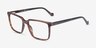Duke Tortoise PlasticEyeglass Frames from EyeBuyDirect, Angle View