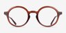 Gusto Crystal Brown PlasticEyeglass Frames from EyeBuyDirect, Front View