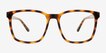 Anders Tortoise PlasticEyeglass Frames from EyeBuyDirect, Front View