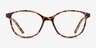 Dollop Tortoise PlasticEyeglass Frames from EyeBuyDirect, Front View