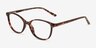 Dollop Tortoise PlasticEyeglass Frames from EyeBuyDirect, Angle View