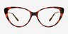 Ida Tortoise PlasticEyeglass Frames from EyeBuyDirect, Front View