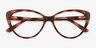 Ida Tortoise PlasticEyeglass Frames from EyeBuyDirect, Closed View