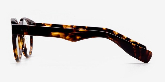 ROCK! Glarus Écailles AcétateMontures de lunettes de vue d'EyeBuyDirect, Vue de Côté