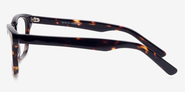 Retro09 Tortoise AcetateEyeglass Frames from EyeBuyDirect, Side View