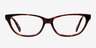 Livny Tortoise AcetateEyeglass Frames from EyeBuyDirect, Front View