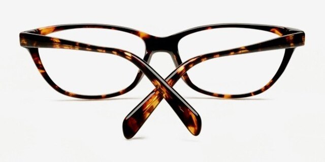 Livny Tortoise AcetateEyeglass Frames from EyeBuyDirect, Closed View
